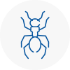 Ant Removals In Abram