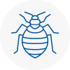 Bed Bug Extermination In Abram