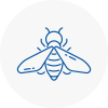 Bee Nest Removal Abram