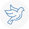 Bird Prevention Abram