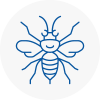 Abram Hornet Nest Removals