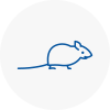Mice Exterminators In Abram