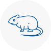 Rat Control Abram