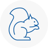 Abram Rodent Removals